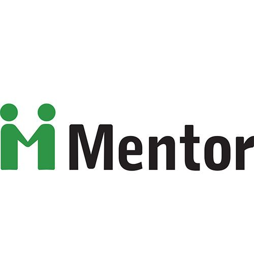 2946_1605192372_mentor