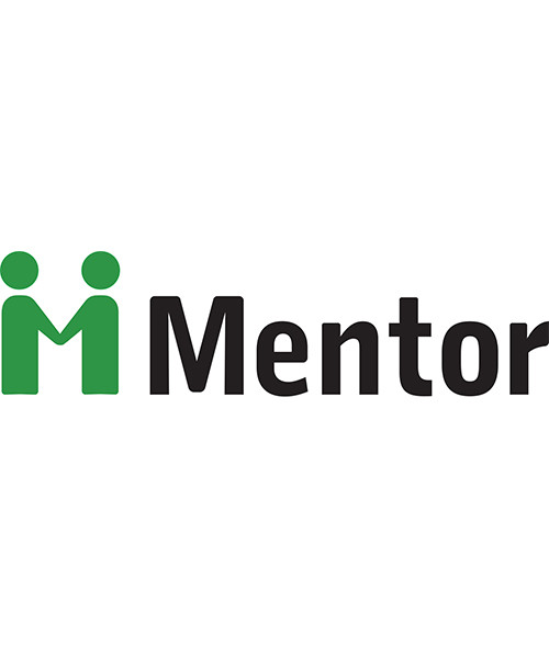 2946_1605192372_mentor